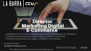 Director de Marketing digital e-Commerce